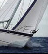 charter